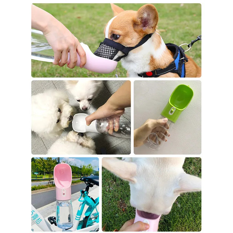 2-in-1 Portable Dog Water & Food Bottle | Travel Bowl for Pets
