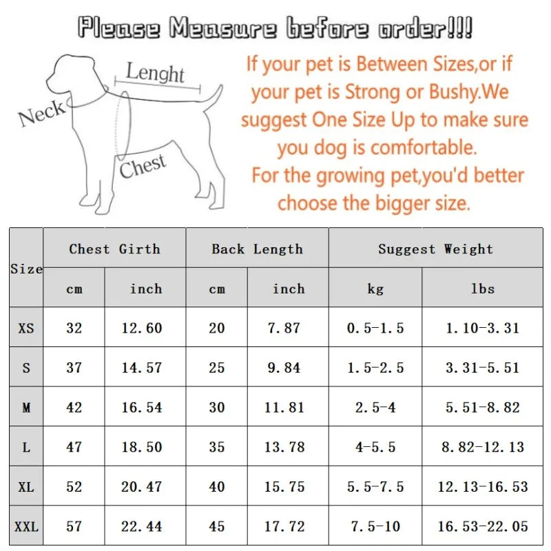 Cute Bear Embroidered Dog Shirt | Lightweight Summer Pet Vest for Small Dogs & Cats