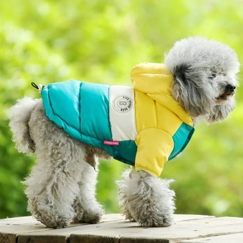 Winter Dog Down Jacket | Waterproof, Warm & Stylish Pet Coat for Small to Large Dogs & Cats
