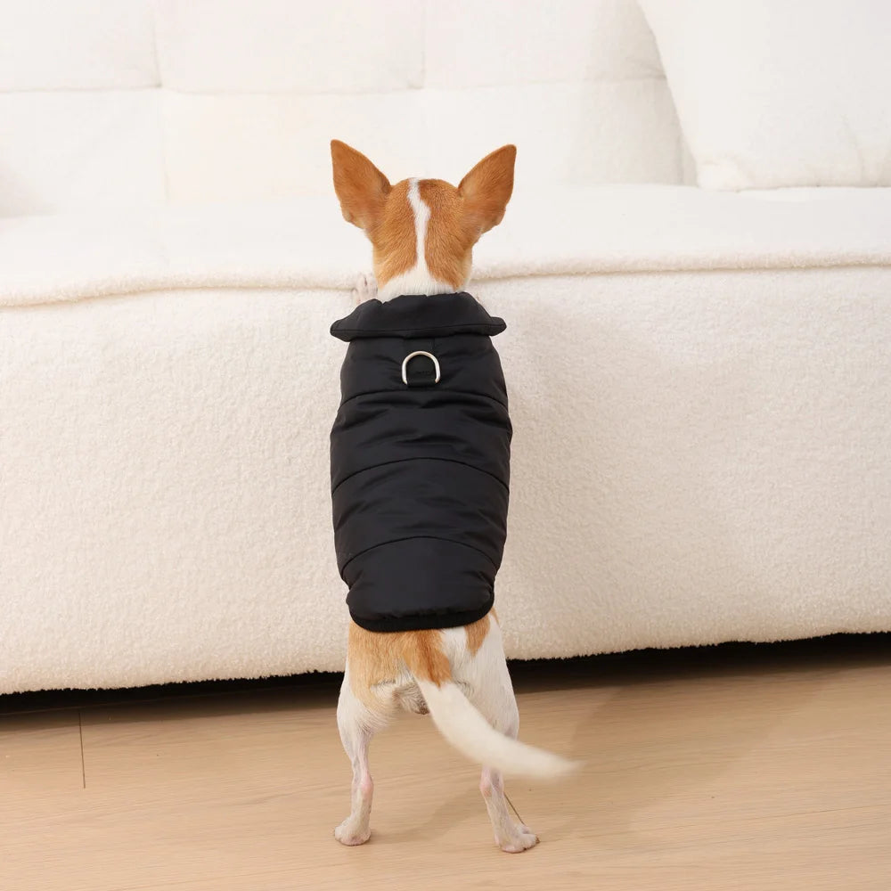 Reversible Winter Dog Jacket – Fleece-Lined Coat for Small & Large Breeds