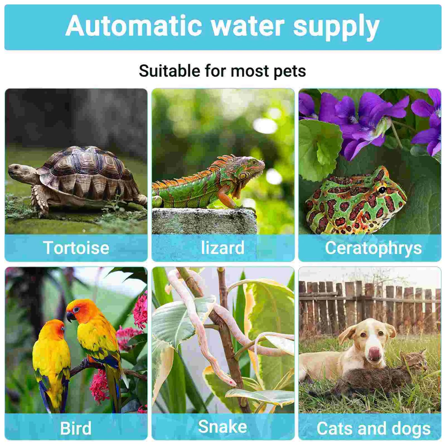 Automatic Reptile Water Feeder – Drinking Fountain & Dish for Geckos, Lizards, and Small Reptiles