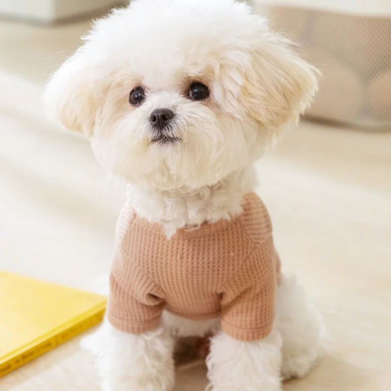 Cute Bear Embroidered Dog Shirt | Lightweight Summer Pet Vest for Small Dogs & Cats