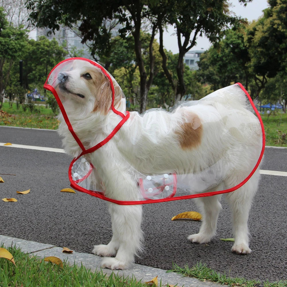 Large Dog Waterproof Raincoat – Transparent EVA Hooded Poncho (Sizes L–8XL)