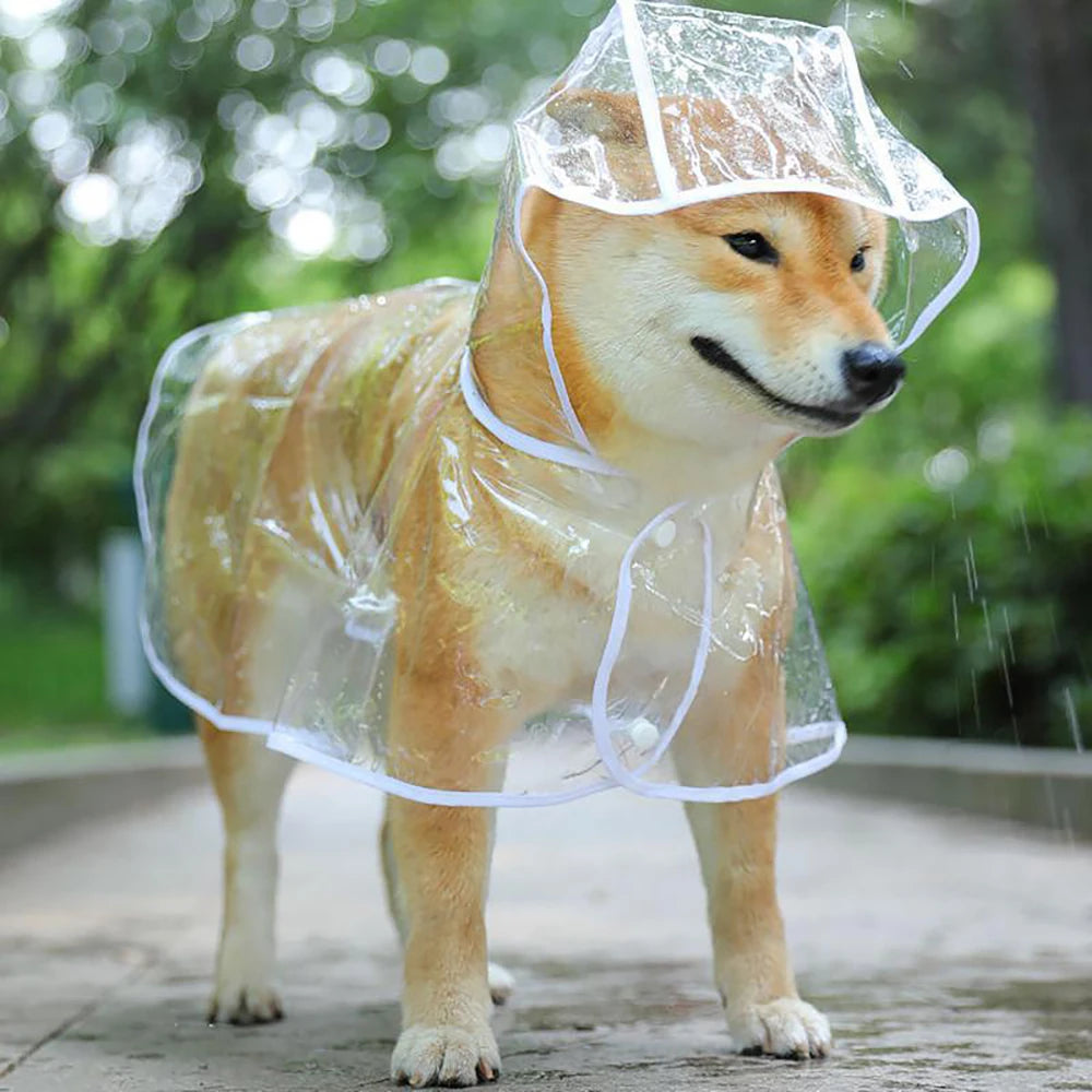 Large Dog Waterproof Raincoat – Transparent EVA Hooded Poncho (Sizes L–8XL)