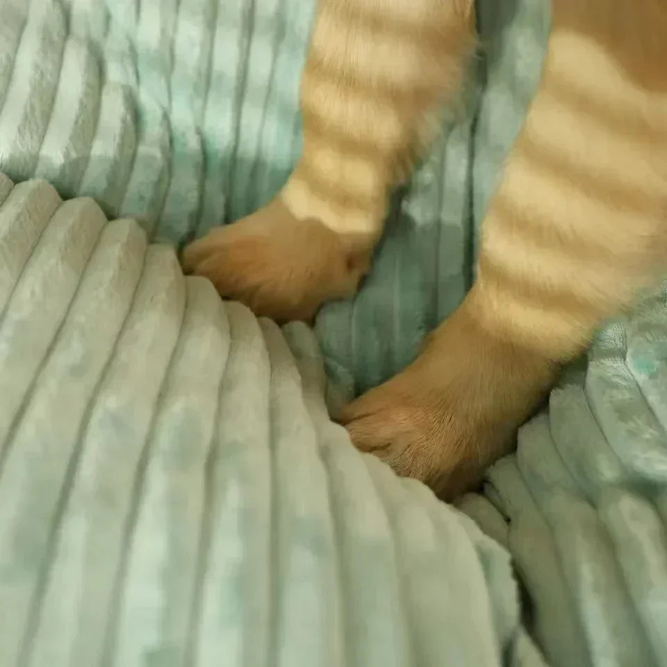 Washable Corduroy Dog Bed | Deep Sleep Cushion for Small to Large Dogs