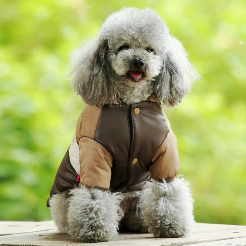 Winter Dog Down Jacket | Waterproof, Warm & Stylish Pet Coat for Small to Large Dogs & Cats