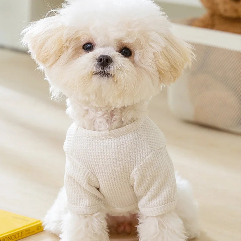 Cute Bear Embroidered Dog Shirt | Lightweight Summer Pet Vest for Small Dogs & Cats
