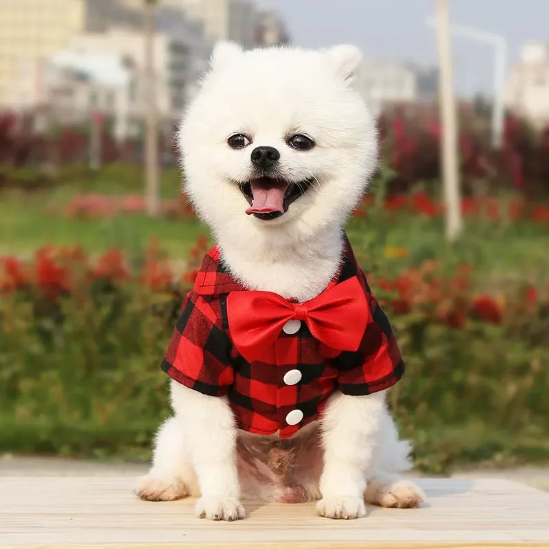 Plaid Pet Shirt with Bow Tie – Classic Summer T-Shirt for Small & Medium Dogs and Cats