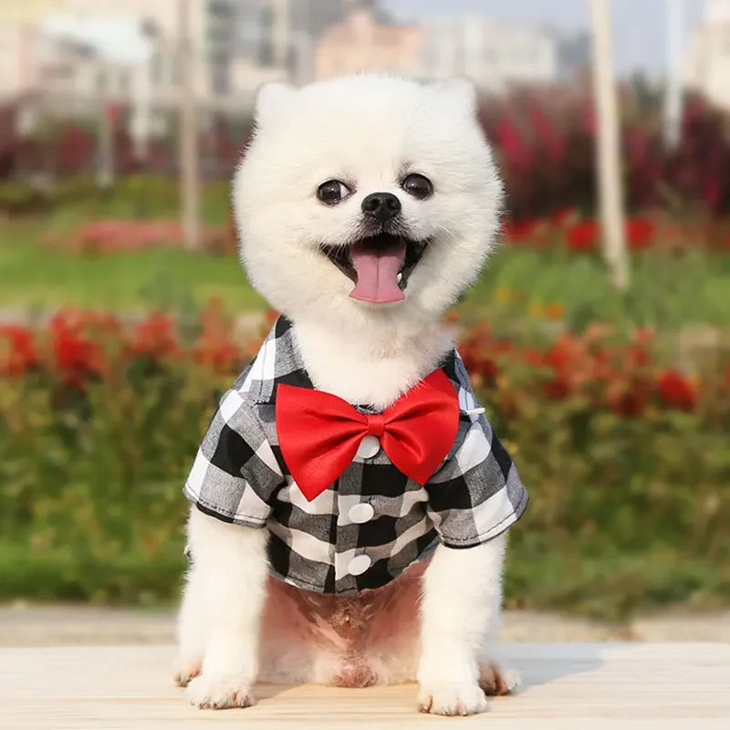 Plaid Pet Shirt with Bow Tie – Classic Summer T-Shirt for Small & Medium Dogs and Cats