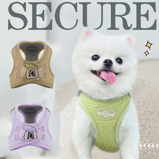 Waffle Fabric Pincher Dog Harness and Leash Set - Breathable and Comfortable for Small Dogs