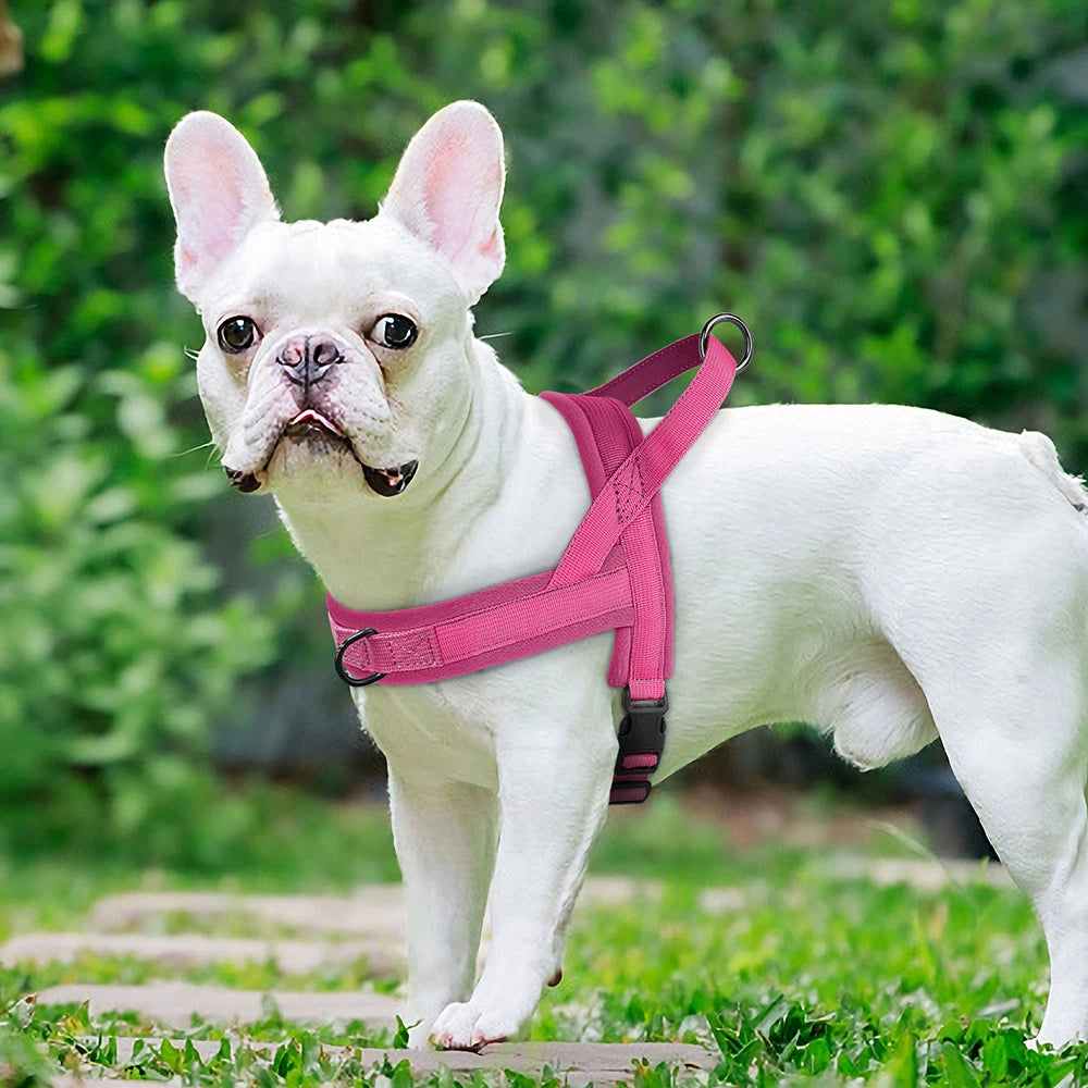 Soft No-Pull Dog Harness – Adjustable, Padded Vest for Small and Medium Dogs