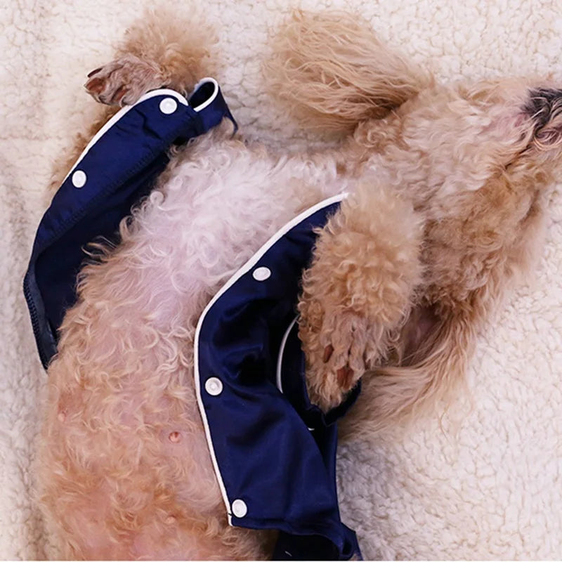 Luxury Pet Pajamas – Soft Silk Pajamas for Small Dogs and Cats