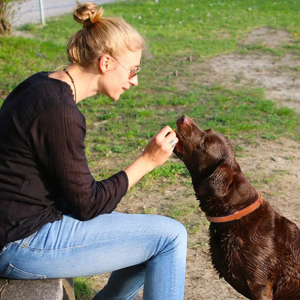 Adjustable TPR Pet Calming Collar – Soothing Anxiety Relief for Dogs & Cats