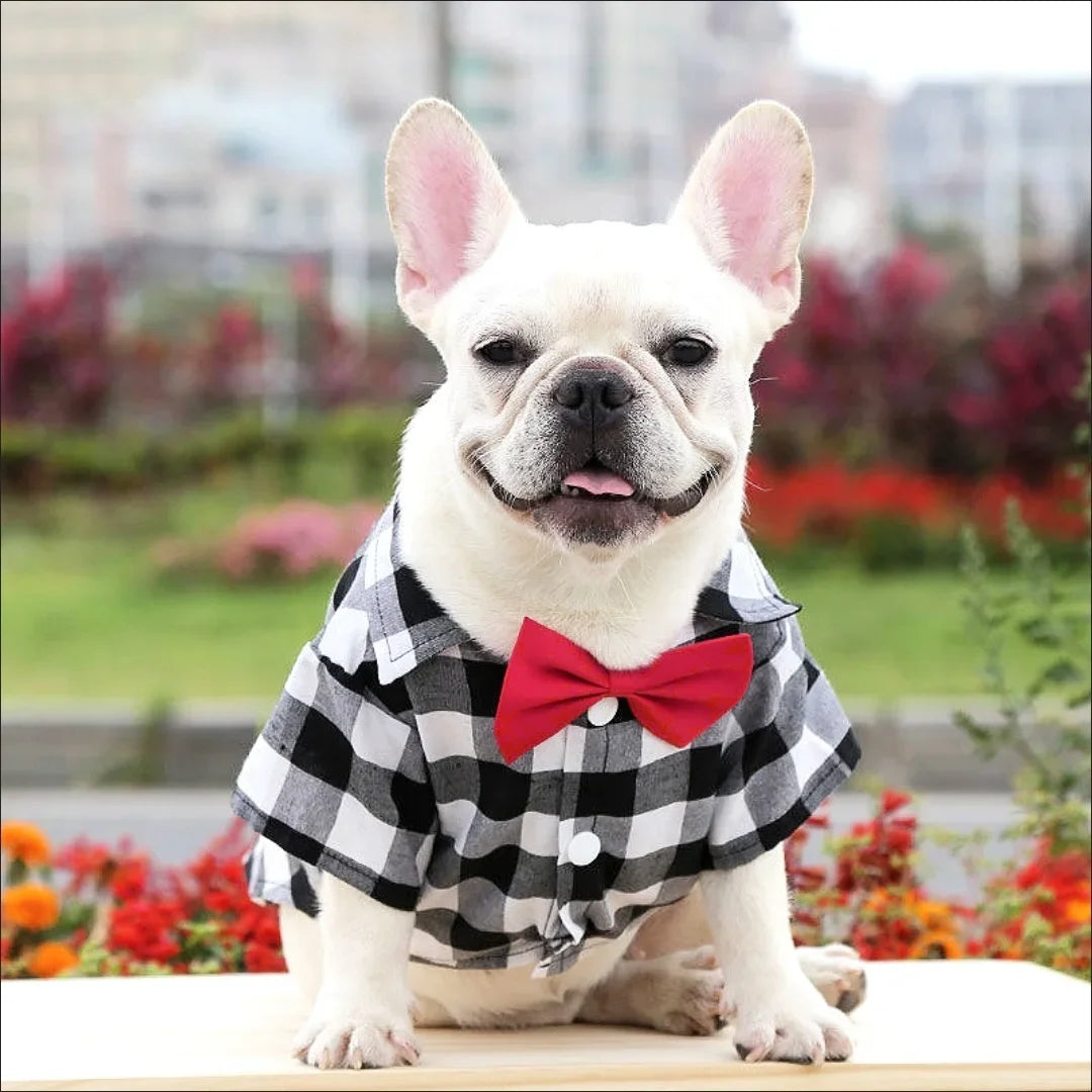 Plaid Pet Shirt with Bow Tie – Classic Summer T-Shirt for Small & Medium Dogs and Cats