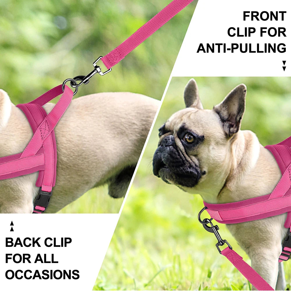 Soft No-Pull Dog Harness – Adjustable, Padded Vest for Small and Medium Dogs