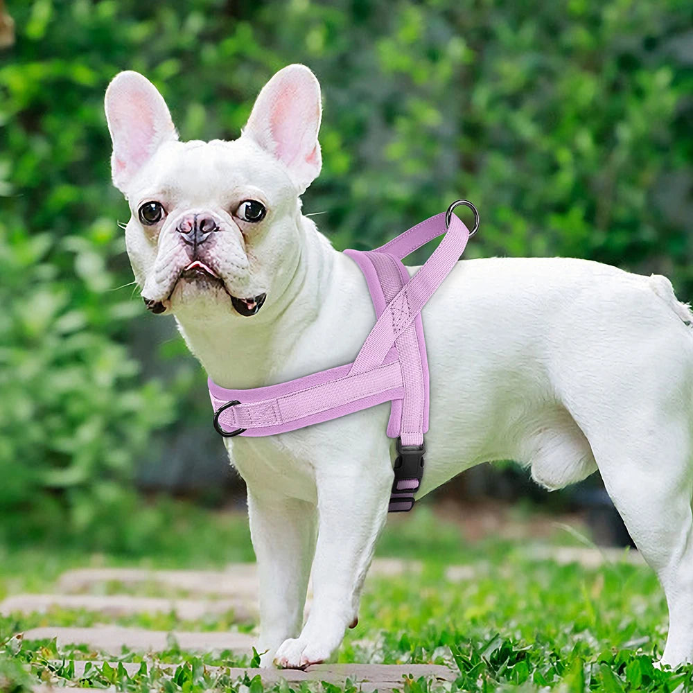 Soft No-Pull Dog Harness – Adjustable, Padded Vest for Small and Medium Dogs