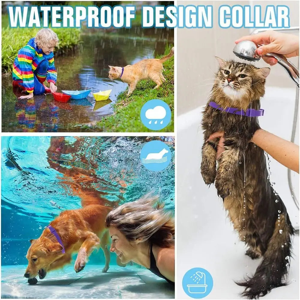 Adjustable TPR Pet Calming Collar – Soothing Anxiety Relief for Dogs & Cats