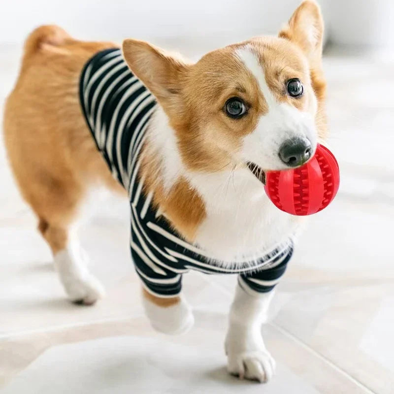 Indestructible Interactive Rubber Chew Ball for Dogs & Cats – 5CM