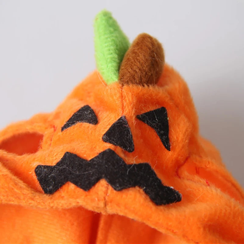 Halloween Pumpkin Hat for Cats & Small Dogs – Adjustable Festive Costume