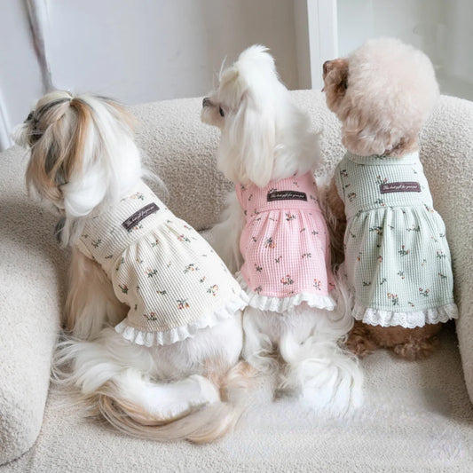 Embroidered Bear Pet Waffle Vest – Cozy Pet Dress for Autumn and Winter