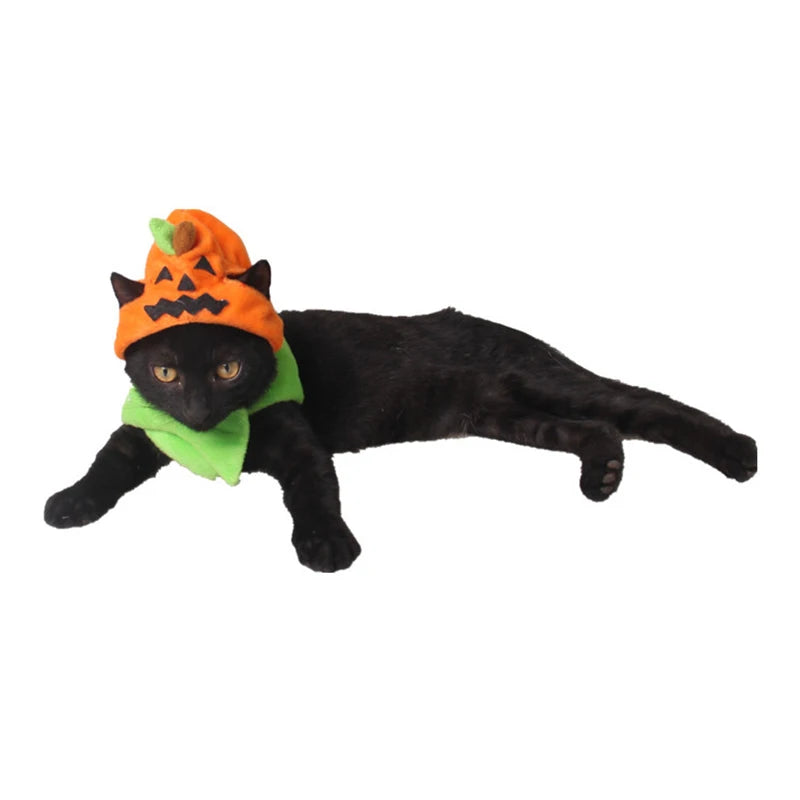Halloween Pumpkin Hat for Cats & Small Dogs – Adjustable Festive Costume