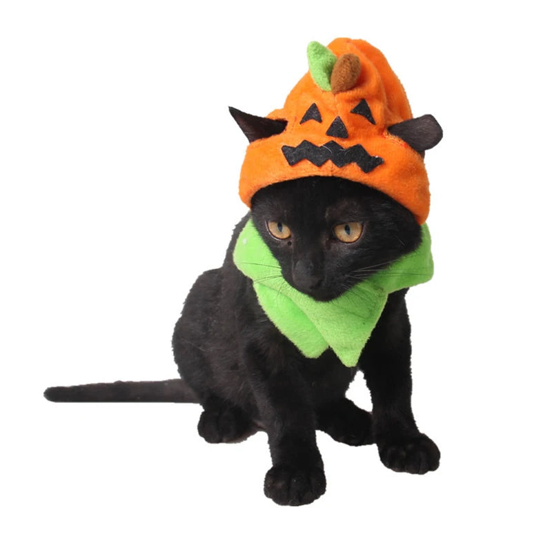 Halloween Pumpkin Hat for Cats & Small Dogs – Adjustable Festive Costume