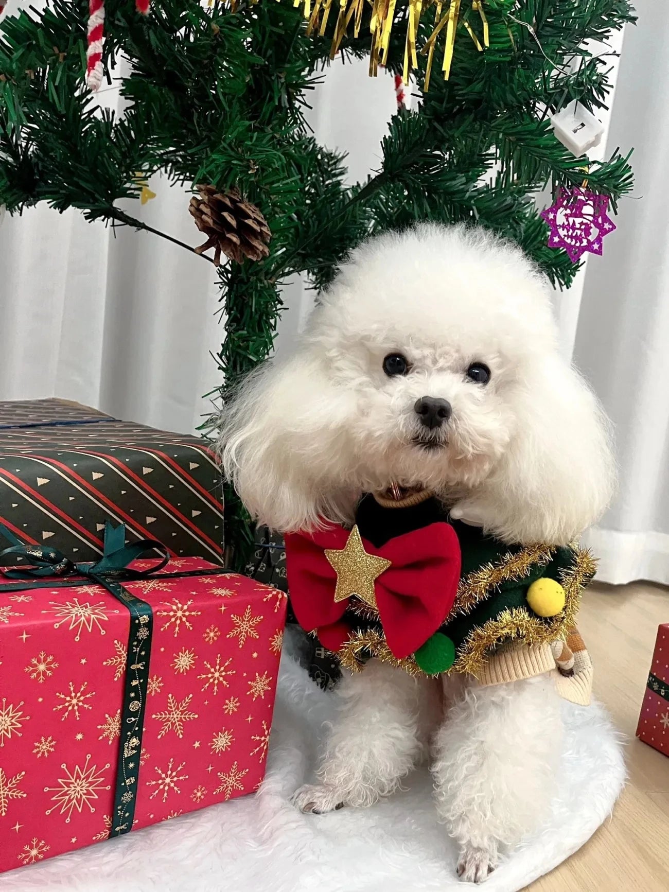 Christmas Tree Hat & Festive Bib for Small Dogs & Cats – Cute Holiday Pet Accessories (XS-L)