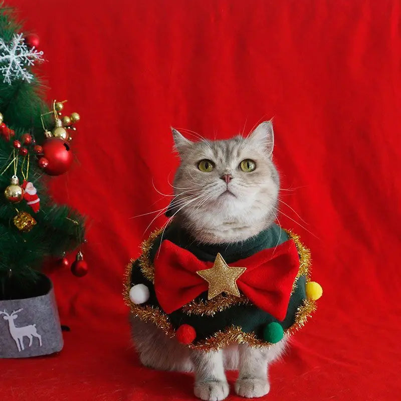 Christmas Tree Hat & Festive Bib for Small Dogs & Cats – Cute Holiday Pet Accessories (XS-L)