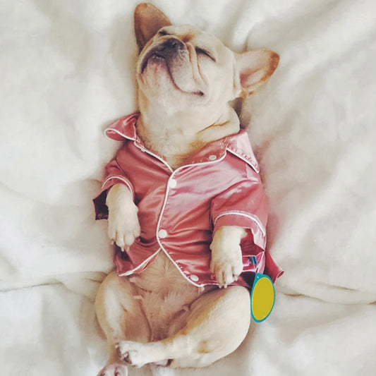 Luxury Pet Pajamas – Soft Silk Pajamas for Small Dogs and Cats