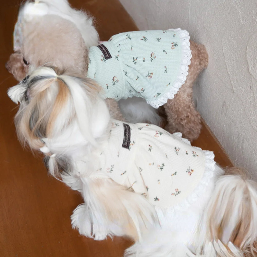 Embroidered Bear Pet Waffle Vest – Cozy Pet Dress for Autumn and Winter