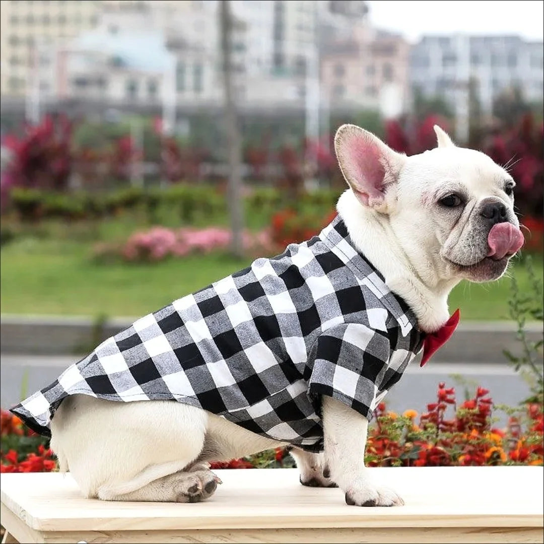 Plaid Pet Shirt with Bow Tie – Classic Summer T-Shirt for Small & Medium Dogs and Cats