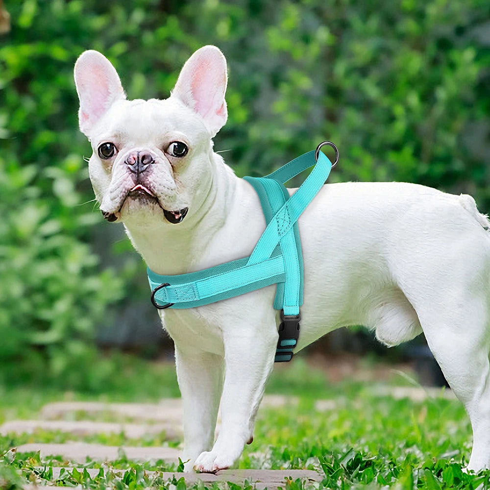 Soft No-Pull Dog Harness – Adjustable, Padded Vest for Small and Medium Dogs