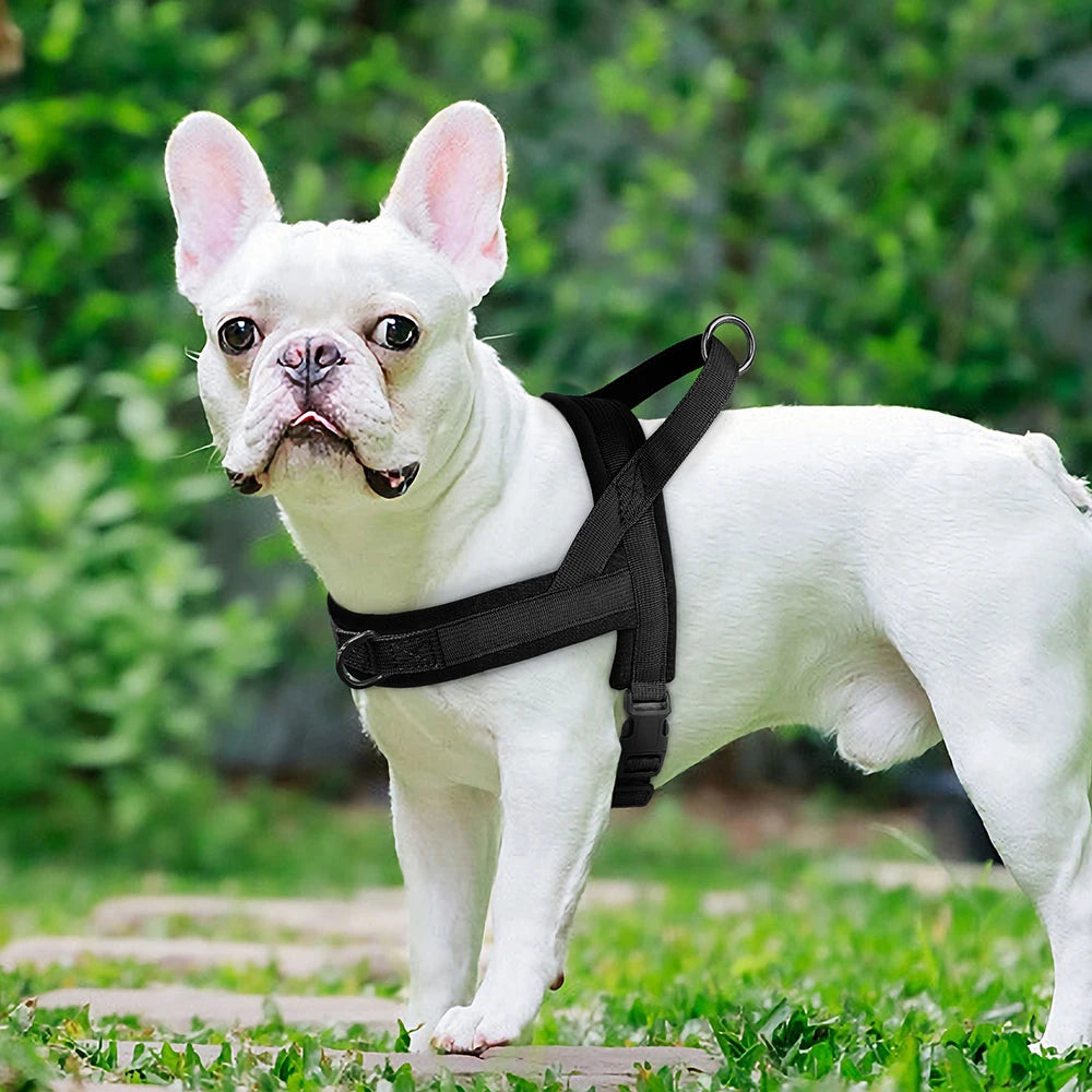 Soft No-Pull Dog Harness – Adjustable, Padded Vest for Small and Medium Dogs