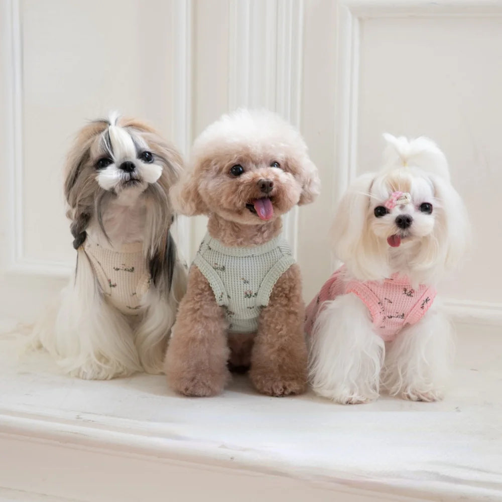 Embroidered Bear Pet Waffle Vest – Cozy Pet Dress for Autumn and Winter