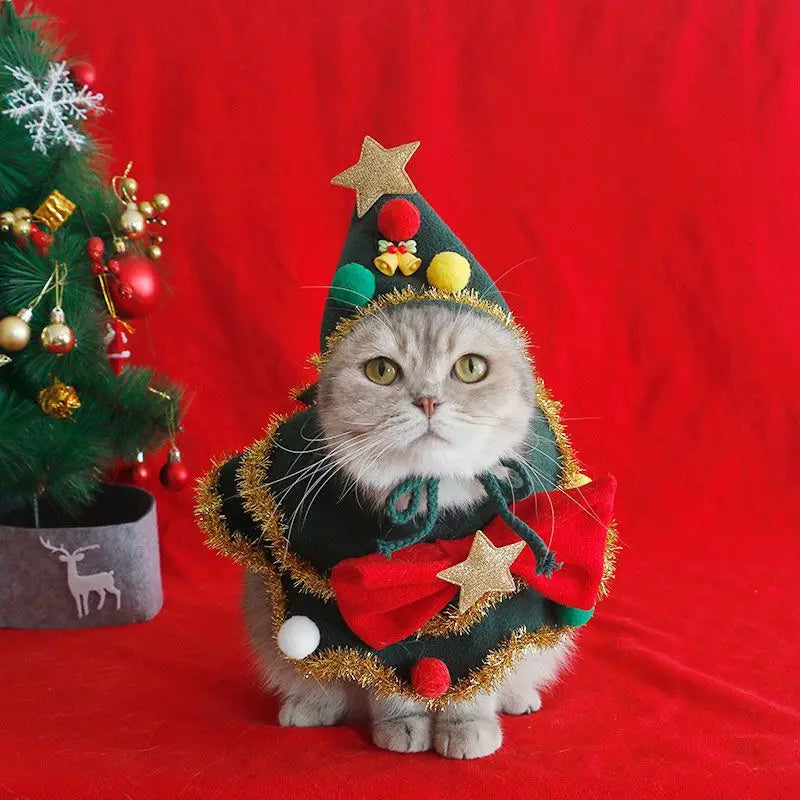Christmas Tree Hat & Festive Bib for Small Dogs & Cats – Cute Holiday Pet Accessories (XS-L)