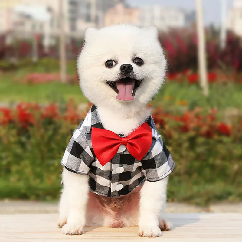 Plaid Bowtie Dog T-Shirt – Breathable Summer Vest for Small & Large Dogs, Cats, and Puppies