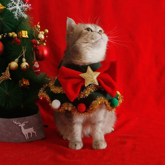 Christmas Tree Hat & Festive Bib for Small Dogs & Cats – Cute Holiday Pet Accessories (XS-L)