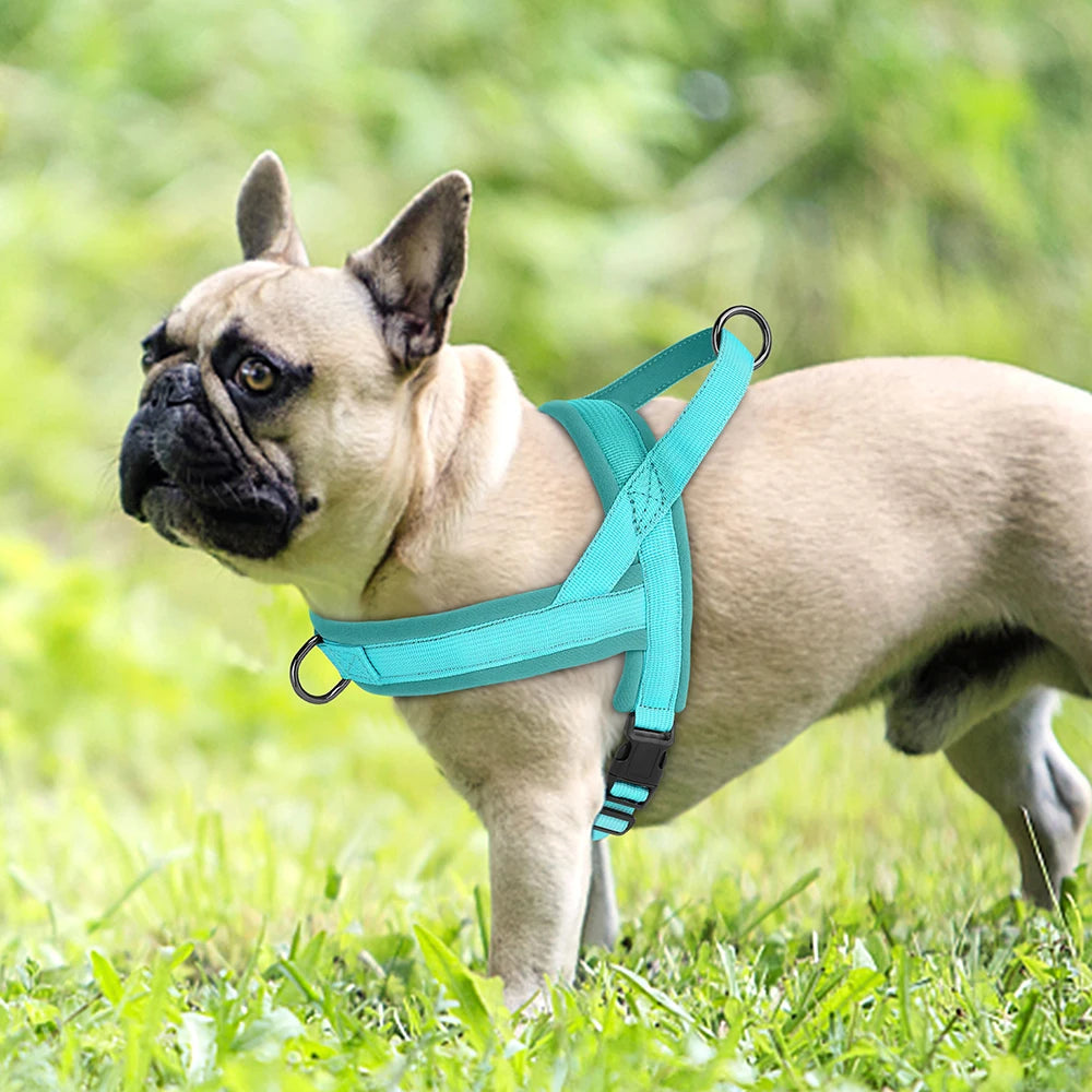 Soft No-Pull Dog Harness – Adjustable, Padded Vest for Small and Medium Dogs