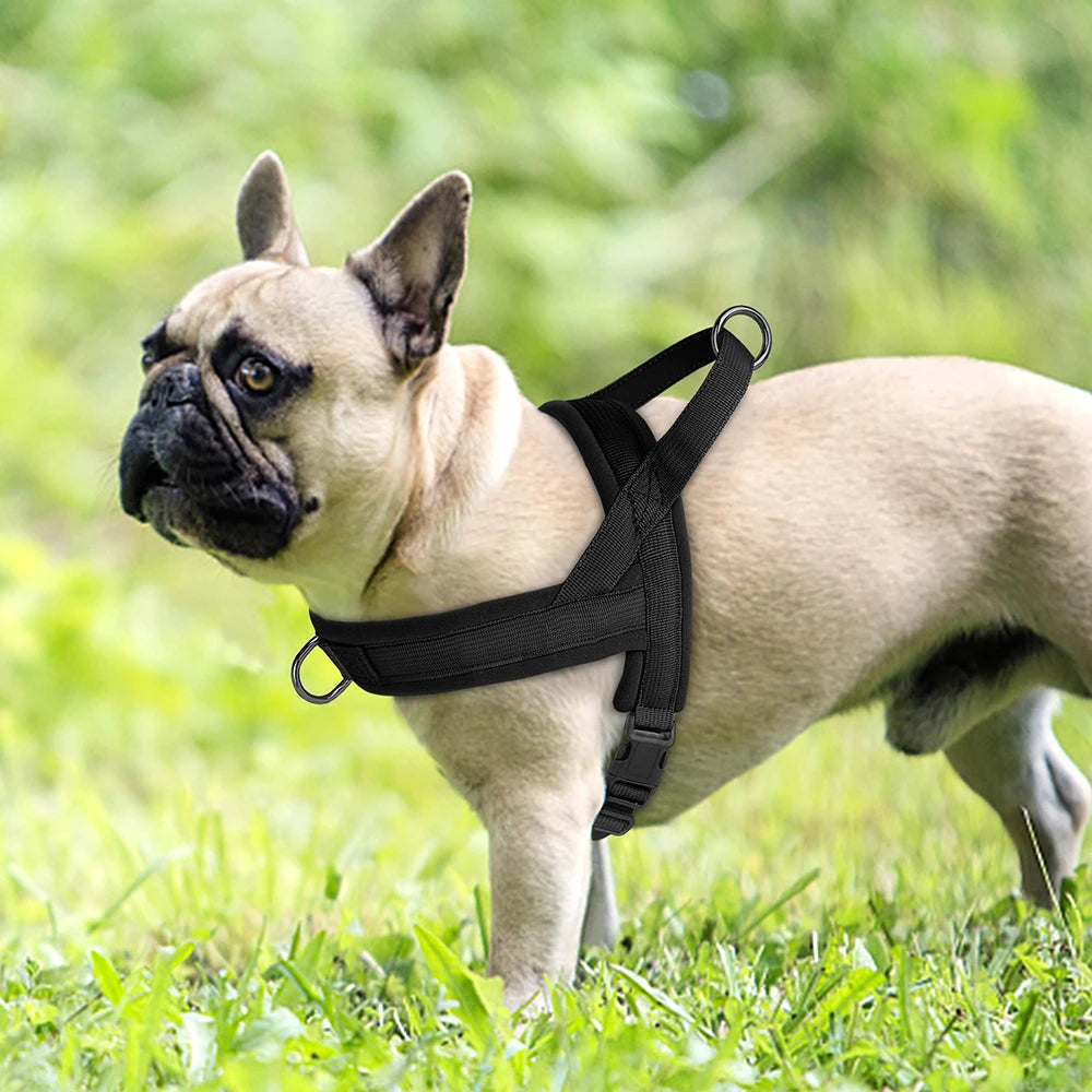 Soft No-Pull Dog Harness – Adjustable, Padded Vest for Small and Medium Dogs