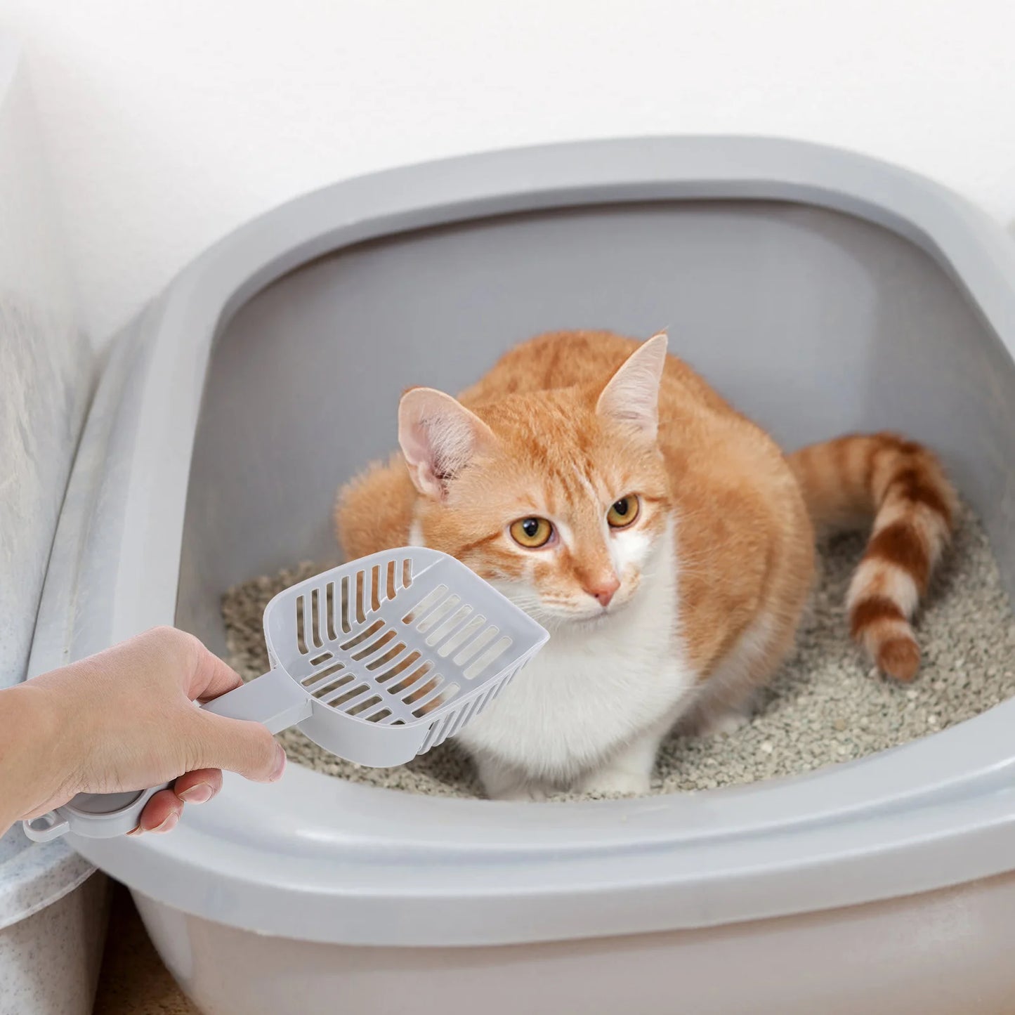 2 件装猫砂铲套装 - 筛子带深黑色托盘，方便清洁