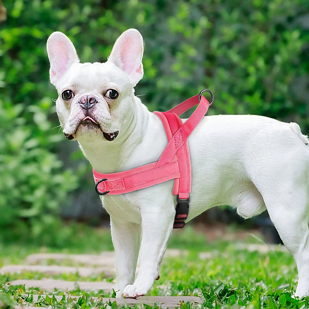 Soft No-Pull Dog Harness – Adjustable, Padded Vest for Small and Medium Dogs