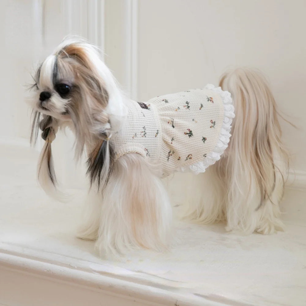 Embroidered Bear Pet Waffle Vest – Cozy Pet Dress for Autumn and Winter